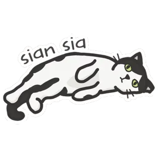 😣 sian sia gato, animal, dibujo animado, lindo, pegatina, kawaii, perezoso telegram sticker
