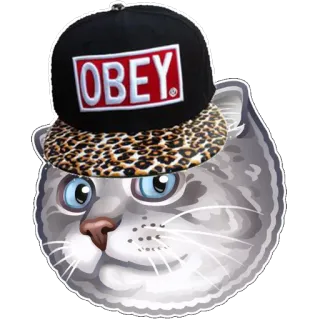 😉 OBEY Katze, Hut, Gehorchen, Aufkleber, Meme, Tier, Mode telegram sticker