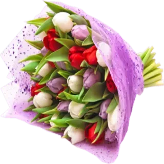 ✨ @Loveoops ✨ : Flower5 telegram stickers