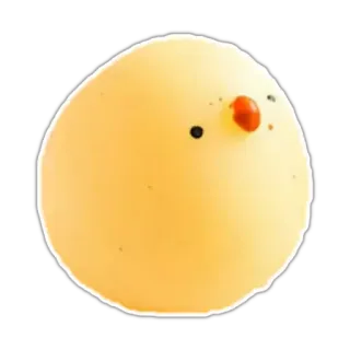 🐥 pulcino, uccello, giallo, carino, animale whatsapp sticker