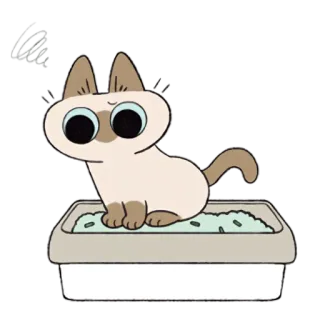 💩 cat, litter box, siamese, cartoon, pet, animal telegram sticker