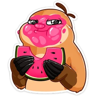 🍉 sloth, watermelon, cartoon, cute, animal, funny telegram sticker