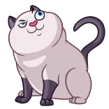 🤨 mèo, hoạt hình, động vật, nhãn dán whatsapp sticker