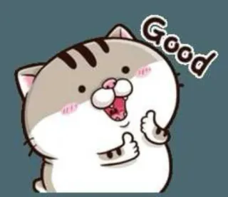 👍 Good Katze, Tier, Daumen hoch, Gut, Positiv telegram sticker