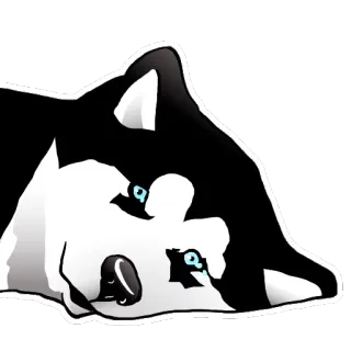 😥 chó, husky, động vật, nhà, thú cưng telegram sticker