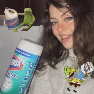 💞 Kermit, Spongebob lejía, productos de limpieza, meme, meme de internet, sarcasmo, limpieza telegram sticker