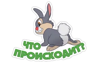 🤭 ЧТО ПРОИСХОДИТ? กระต่าย, คำถาม, รัสเซีย, สัตว์, การ์ตูน telegram sticker