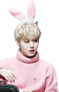 👀 розовый, заячьи ушки, человек, портрет, K-Pop whatsapp sticker