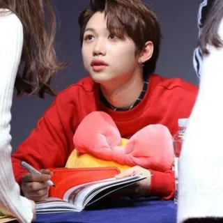 🎸 Felix kpop, cantor, idol, stray kids, assinatura de fãs telegram sticker