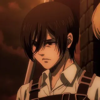 ⚔️ Mikasa Ackerman Attack on Titan anime, attack on titan, mikasa, military, aot, character, serious telegram sticker