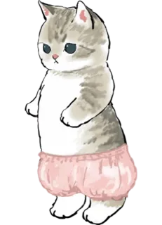 🩲 cat, cute, animal, pet, cartoon, adorable telegram sticker