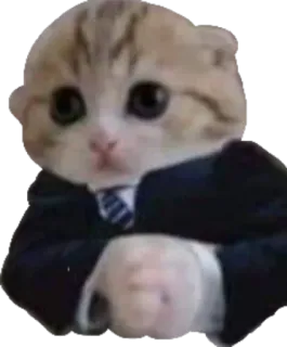 murmur whatsapp stickers