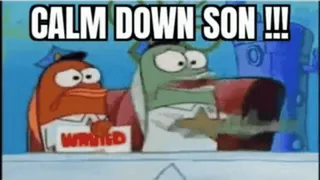 😂 CALM DOWN SON !!! funny, meme, spongebob, calm down, son telegram sticker