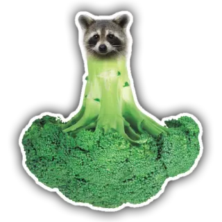 🌳 mapache, brócoli, verdura, animal, divertido, mono, naturaleza, comida whatsapp sticker