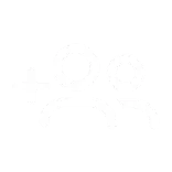 👥