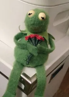🌟 Kermit Kermit der Frosch, Puppe, Blumen, Grün, Muppets whatsapp sticker