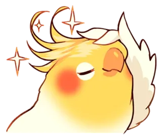 ✨ chim, vẹt mào, kiệt sức, buồn ngủ, dễ thương, động vật, phim hoạt hình telegram sticker