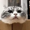 📦