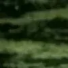 🤩