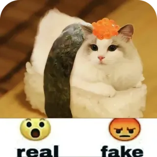 🐱 real fake Katze, Sushi, Essen, Lustig, Emoji, Meme telegram sticker