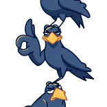 👌 pájaro, cuervo, dedo corazón, ofensivo, gesto telegram sticker