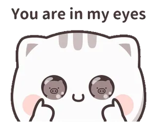 ❤️ You are in my eyes gato, fofo, porco, animais, dedo do meio, ofensivo telegram sticker
