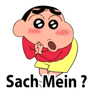 ❔ Sach Mein? shinchan, dibujos animados, indio, hindi, pregunta, anime telegram sticker