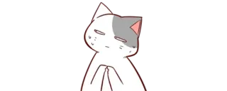 😬 gato, anime, fofo, adesivo, desenho, expressão, kawaii telegram sticker