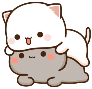 ☺️ cat, cute, animals, cartoon, kawaii whatsapp sticker