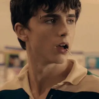 🍃 Timothée Chalamet acteur, célébrité, portrait, personne telegram sticker