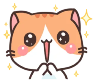 🤩 mèo, dễ thương, kawaii, lấp lánh, vui vẻ, động vật whatsapp sticker