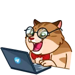 Memes With Cats @TgEmodziBot telegram emojis 😂