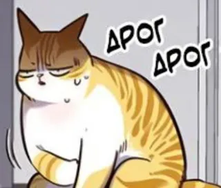🐈 Дрог gato, gracioso, meme, lindo, ruso telegram sticker