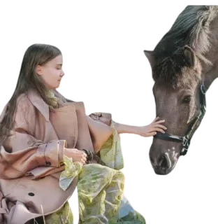 🐴 woman, horse, animal, friendship, nature, interaction telegram sticker