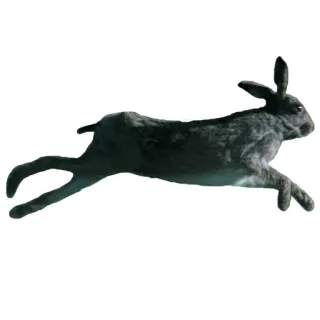 Спи whatsapp stickers