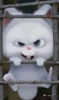 🐰 Snowball The Secret Life of Pets conejo, conejito, mono, animal, dibujo animado, gracioso, mascota whatsapp sticker