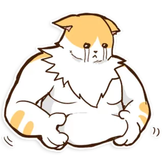 😔 gatto, triste, piangere, animale, cartone animato whatsapp sticker