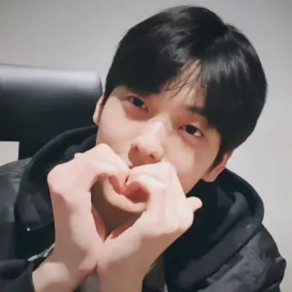 🦈 하트 손, 아시아인, 인물 사진, 귀여운, K팝 telegram sticker