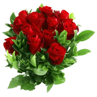 🌹 цветы, розы, красные розы, букет, зелень telegram sticker