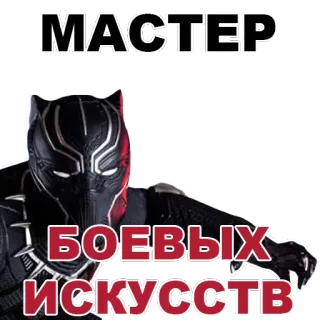 👍 Black Panther МАСТЕР
БОЕВЫХ
ИСКУССТВ Black Panther, superhero, bela diri, Marvel, Rusia, stiker telegram sticker