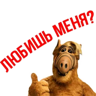 ❤ ALF ЛЮБИШЬ МЕНЯ? alien, série TV, années 80, mignon, personnage de dessin animé, texte russe telegram sticker