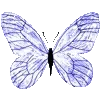 🦋