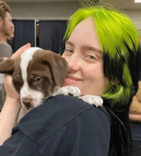 🌊 Billie Eilish Billie Eilish, นักร้อง, ลูกสุนัข, หมา, คนดัง, ผมสีเขียว telegram sticker