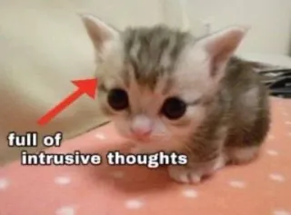 🤔 full of intrusive thoughts telegram sticker