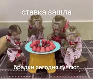 Бибизянки 6 > @bibizyankii telegram stickers