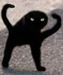 😵 Katze, verfluchte Katze, Meme, Tier, lustig telegram sticker