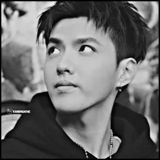 ♠️ Kris Wu KRISBREATHE kpop, cantante, attore, idol, celebrità, ritratto telegram sticker