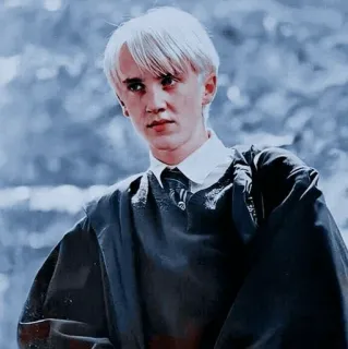 🐾 Draco Malfoy Harry Potter 드레이코 말포이, 슬리데린, 해리포터, 마법사, 마법, 교복 telegram sticker
