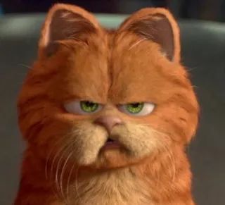 😑 Garfield cat, cartoon, orange, Garfield, angry, meme telegram sticker
