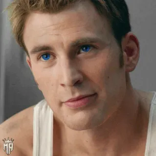 🛡 Chris Evans actor, celebrity, man, male, portrait telegram sticker